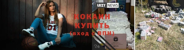 винт Гусев