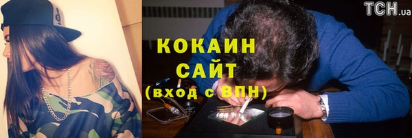 винт Гусев