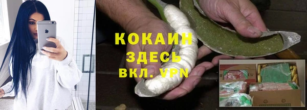 гидропоника Гусь-Хрустальный