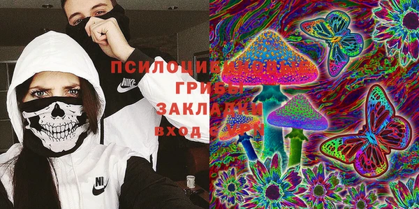 гидропоника Гусь-Хрустальный