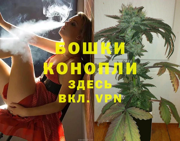 винт Гусев