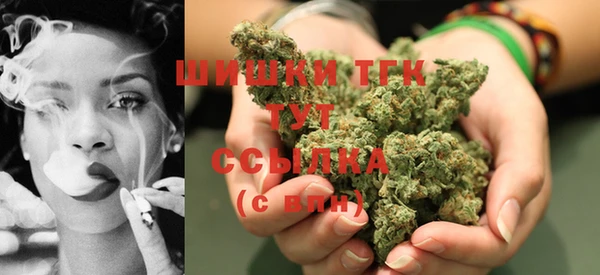 гидропоника Гусь-Хрустальный
