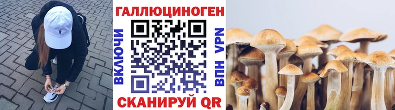 ссылка на мегу как войти  Иваново  Галлюциногенные грибы Cubensis 